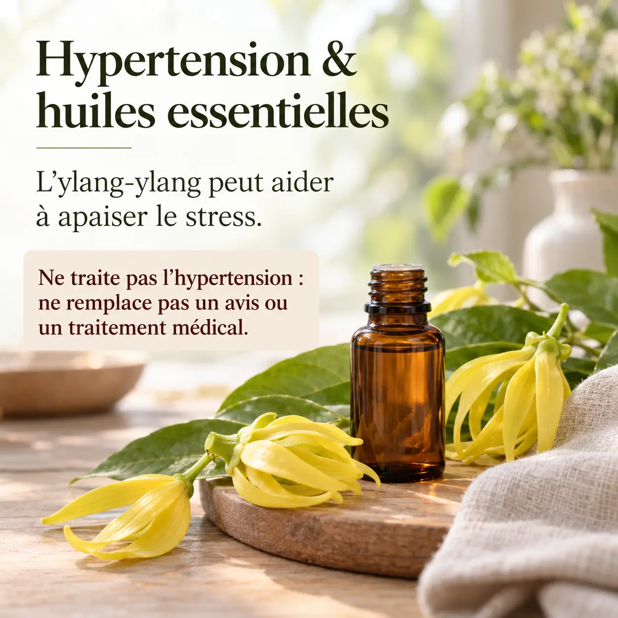 Hypertension et huiles essentielles : l’Ylang-ylang apaise le stress, sans traiter l’HTA