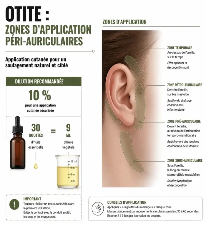 Infographie sur l'application des huiles essentielles pour otite et dilution recommandée